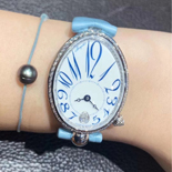 극 ƽ  RE45001 ()