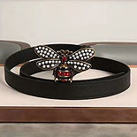   Ʈ MS0249-1           2CM