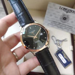  ƽ   LS8876