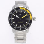 IWC ƽ  W19551 