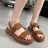   23SS     SH6553-1