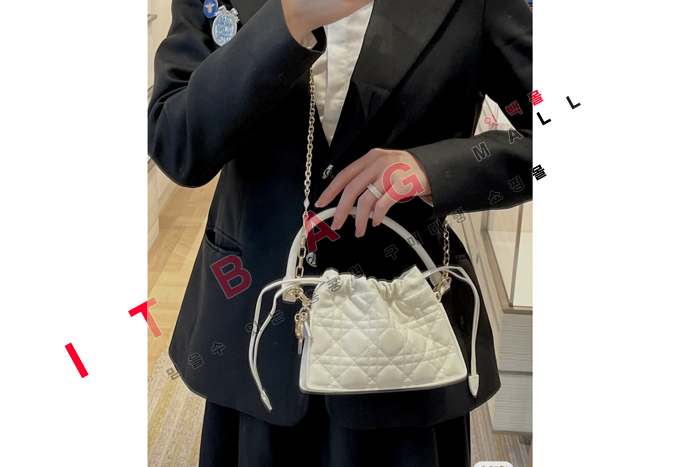  LADY DIOR MILLY ̴  DR90278-1