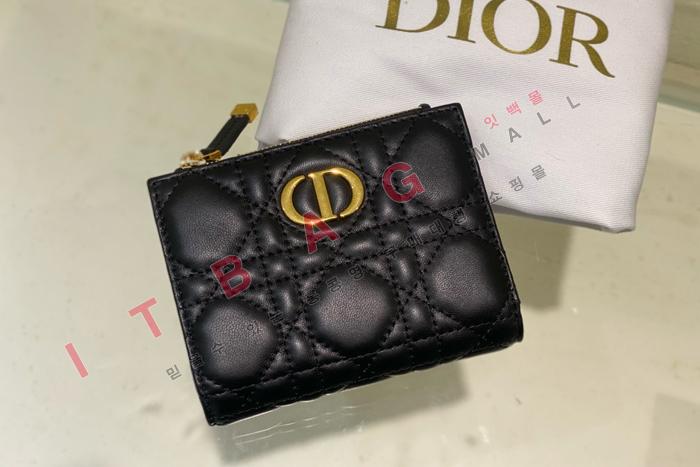  Caro Dahlia   A82362-1