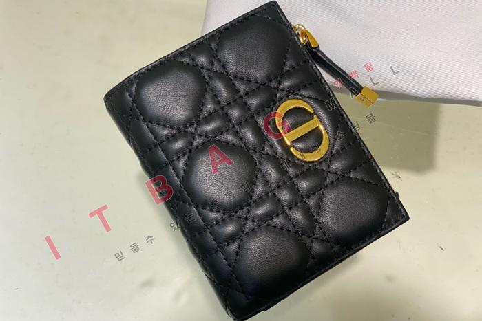  Caro Dahlia   A82362-1