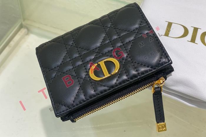  Caro Dahlia   A82362-1