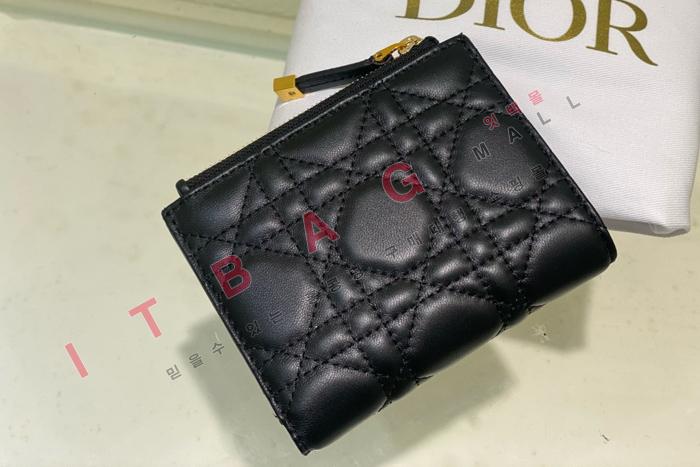  Caro Dahlia   A82362-1