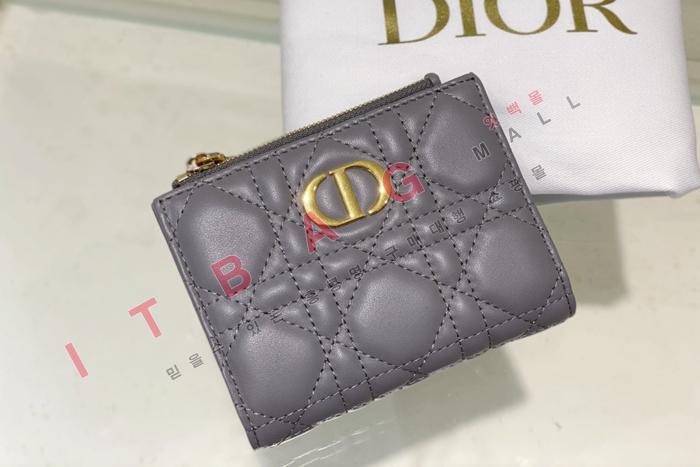  Caro Dahlia   A82362-3