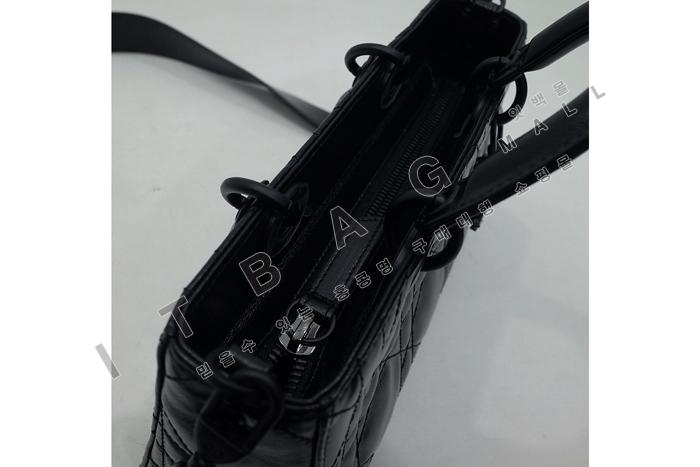  Lady D-Sire My ABC   DR9037-2