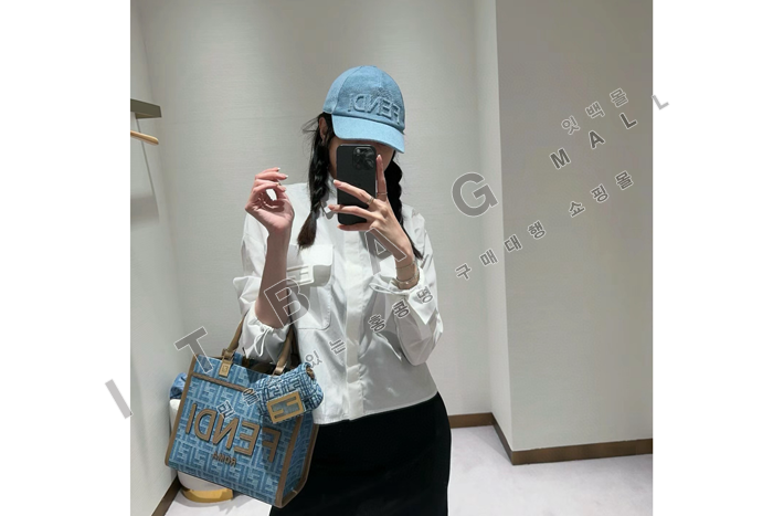 ҵ    Ʈ   FD2187-1