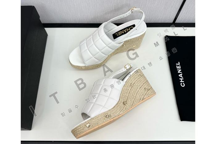    SH4896