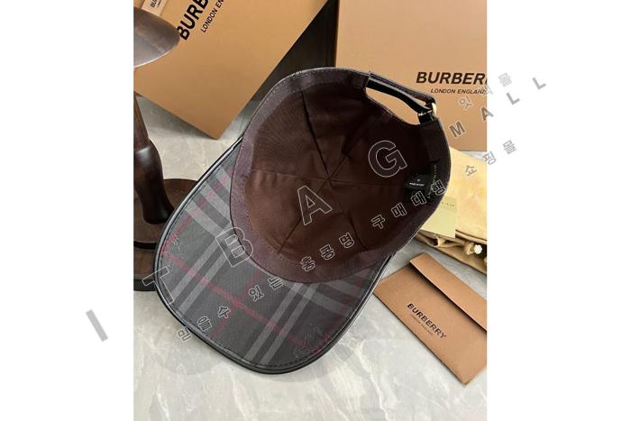    AMY56339-1