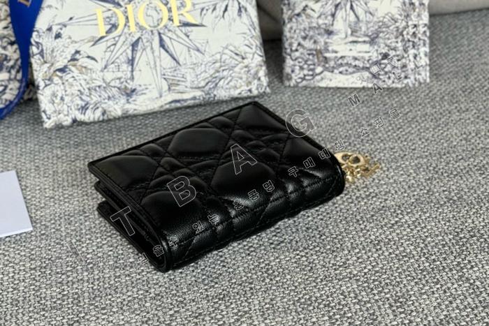  Lady  Bloom ī   A82377