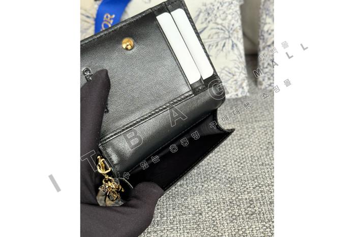  Lady  Bloom ī   A82377