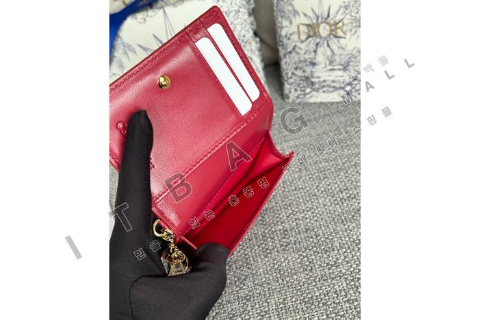  Lady  Bloom ī   A82377-1