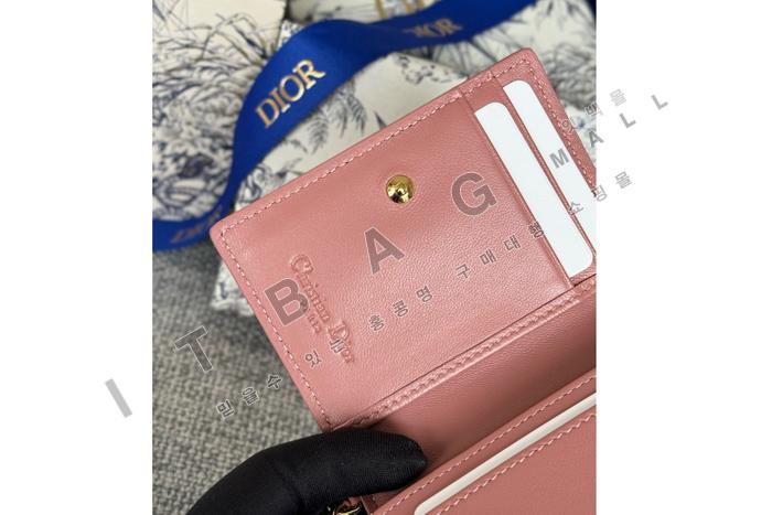  Lady  Bloom ī   A82377-4