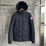 ĳٱ ̺긴  淮 е   DB8863-1