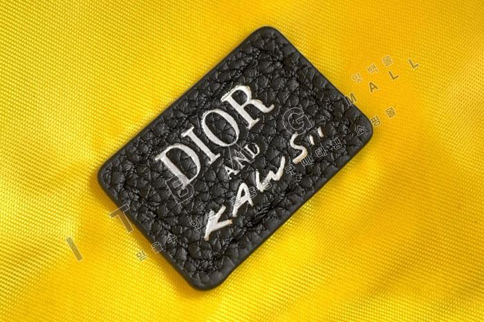  Rider 2.0 DIOR AND KAWS     DR91629    25/Ż