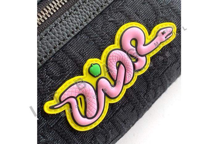  Rider 2.0 DIOR AND KAWS Ʈ   DR91630    25/Ż