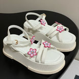 ̺ x TM  ÷   SH5596-1    25/Ż   5CM