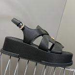 ̺  ÷    SH5611-1     25/Ż   5CM