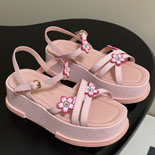 ̺ x TM  ÷   SH5596-2    25/Ż   5CM