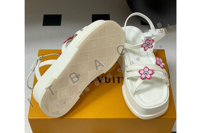 ̺ x TM  ÷   SH5596-1    25/Ż   5CM